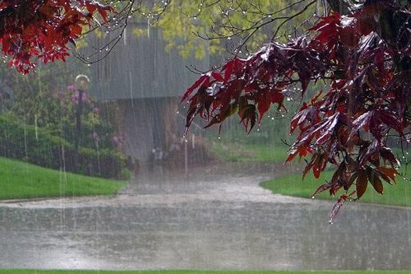 بارندگی های پیش رو در استان تهران خیلی شدید نیست بارندگی های پیش رو در استان تهران خیلی شدید نیست