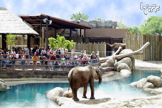 بزرگترین باغ وحش های دنیا را می شناسید؟