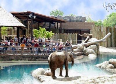 بزرگترین باغ وحش های دنیا را می شناسید؟