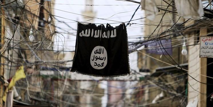 شبه نظامیان کُرد سوریه: سخنگوی داعش کشته شد