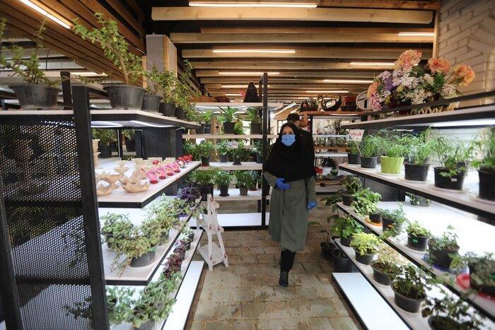 کلینیک گل و گیاه تخصصی منطقه 8 افتتاح شد