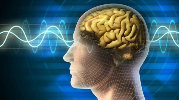 امید سامسونگ به کپی مغز انسان روی تراشه های 3 بعدی