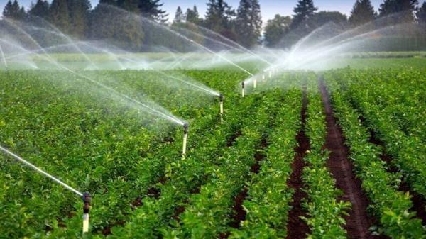 صرفه جویی 126 میلیون متر مکعب آب در بخش کشاورزی خراسان رضوی