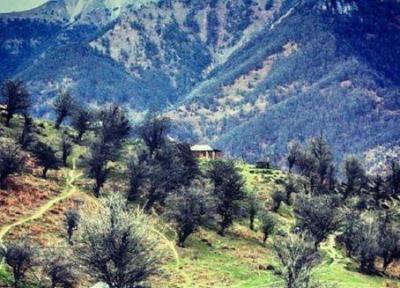 للندیز یکی از منطقه ها جنگلی زیبای ایران است