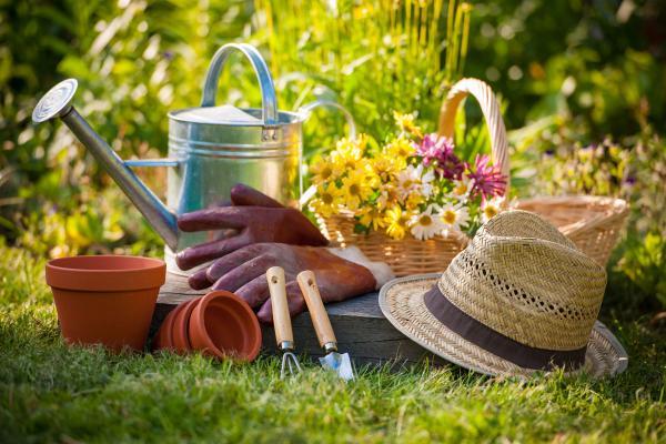 9 ترفند مهم و اقتصادی در باغبانی